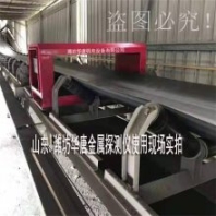 金屬探測儀，金屬雜質檢測，性能穩(wěn)產(chǎn)品的金屬探測器