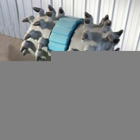龍煤礦山施工可旋轉(zhuǎn)水平銑挖機(jī)修復(fù)隧道采煤機(jī)銑刨頭