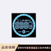 反射黑白液晶顯示屏_華彩勝計(jì)時(shí)器液晶顯示屏_LCD液晶顯示屏廠家