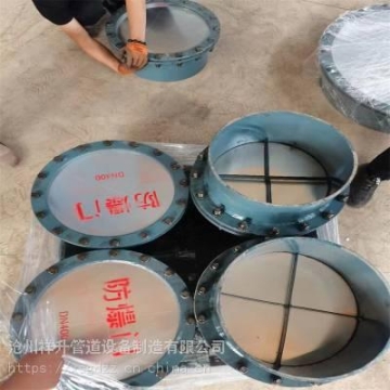 廠家供應(yīng)灌頂人孔GTG-500A透光孔防爆門可圖紙加工