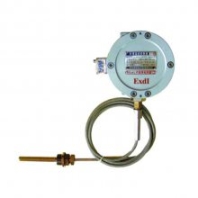 星漢電氣 WTYKB系列礦用隔爆型溫度控制器80/160℃