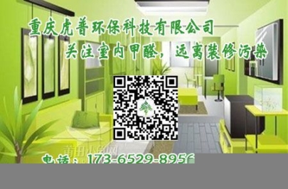 九龍坡哪里有除甲醛的公司
