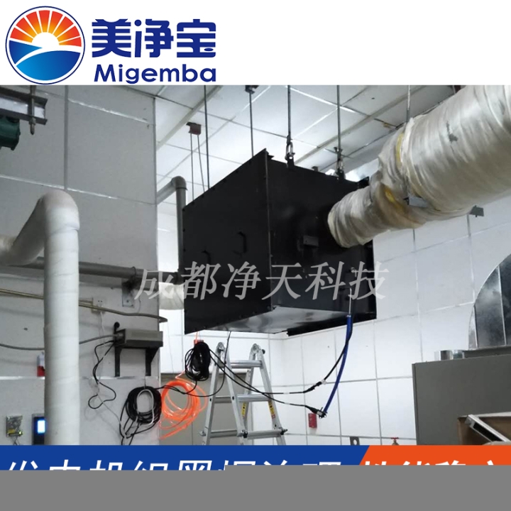 發(fā)電機組尾氣國四達(dá)標(biāo)處理干式尾氣凈化器