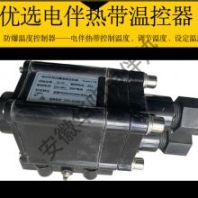 華陽生產(chǎn)制造電伴熱帶防爆BJW溫度控制器溫控器
