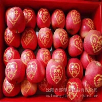 蘋果印字移印機(jī) 藝術(shù)蘋果節(jié)日水果印字機(jī) 橙子圣誕果平安果印刷機(jī)