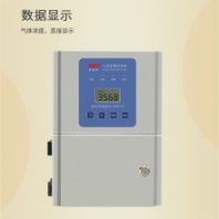 壁掛式工業(yè)場所設(shè)計VDO-202氣體報警控制器安裝
