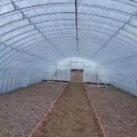 黑龍江鋼管溫室大棚搭建薄膜蔬菜大棚
