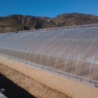 河北花梁式溫室大棚搭建薄膜蔬菜大棚