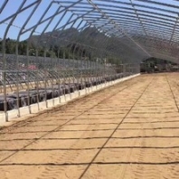 新疆簡易溫室大棚價格表簡易大棚