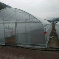 福建簡易溫室大棚性能特點春秋大棚