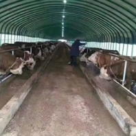 黑龍江養(yǎng)殖大棚搭建食用菌溫室大棚