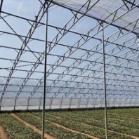 重慶花梁式溫室大棚廠家