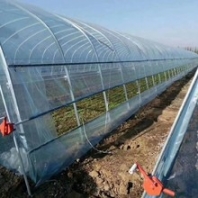 河北薄膜溫室大棚搭建
