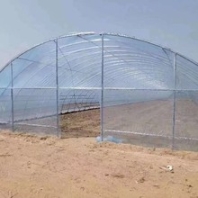 浙江花梁式溫室大棚搭建