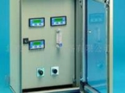 供意大利TecnoControl在線煙氣分析系統(tǒng)