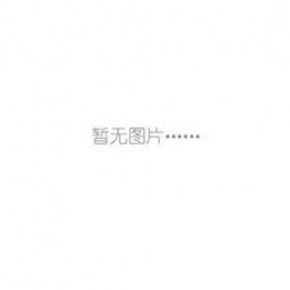 德國德圖testo 816 聲級計