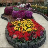 國慶節(jié)草花，國慶節(jié)鮮花擺放，國慶節(jié)花卉擺放