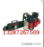 濟寧居思安直銷美國卡特多功能鏈鋸CE2172