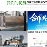 雙極離子發(fā)生器環(huán)保除臭廢氣處理離子發(fā)生器