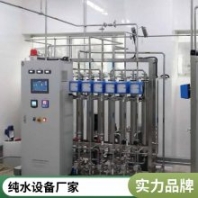 車用尿素玻璃水edi超高純水設(shè)備 醫(yī)藥純化水設(shè)備 定制