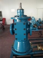 沖洗油泵整機(jī)帶過濾器HSNS280-46Z