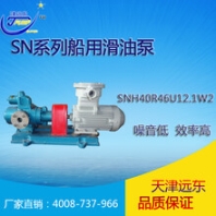 天津津遠(yuǎn)東SNH40R46E6.7W2船用三螺桿主機(jī)滑油泵