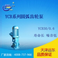 天津遠(yuǎn)東YCB30齒輪泵輸送無(wú)腐蝕或腐蝕性介質(zhì)