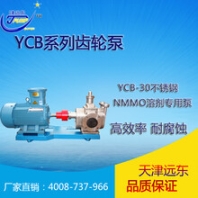 天津津遠(yuǎn)東YCB-20/0.6不銹鋼NMMO溶劑的輸送泵