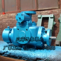 W3Kse-36雙螺桿泵油脂化工泵-天津螺桿泵廠家直銷