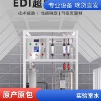 供應(yīng)水處理設(shè)備EDI模塊 超純水 反滲透設(shè)備 新偉環(huán)保設(shè)備廠家