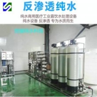 1.5T反滲透設(shè)備 純水設(shè)備廠家 去離子水 超純水 選世駿純水