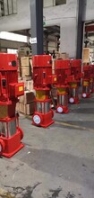 承德大型立式消防泵結(jié)構(gòu)
