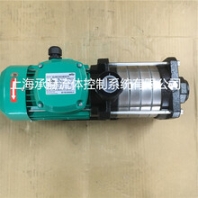 恒溫水箱循環(huán)泵MHIL403威樂循環(huán)泵