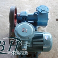 供應(yīng)高粘度轉(zhuǎn)子泵,高粘度硅油轉(zhuǎn)子泵,NCB內(nèi)嚙合高粘度轉(zhuǎn)子泵