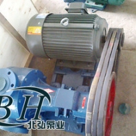 供應(yīng)NCB高粘度齒輪泵,NCB內(nèi)嚙合轉(zhuǎn)子泵,樹脂輸送泵