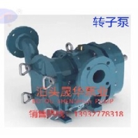 轉(zhuǎn)子泵、泥漿泵、污水泵、環(huán)保專用泵、泊頭晟華泵業(yè)、移動(dòng)泵、凸輪泵