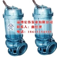 宏偉泵業(yè)圖_QZ潛水渣漿泵_邯鄲潛水渣漿泵