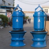 大流量低揚(yáng)程潛水軸流泵_污水處理廠_防洪泵站