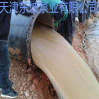 700QZB-50大流量低揚(yáng)程軸流泵