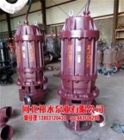 電機式污水泵吸砂泵污水泵祁水泵業(yè)