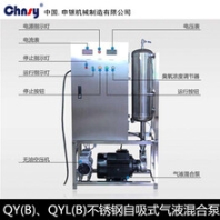 QY小流量高揚程渦流泵氣液混合泵
