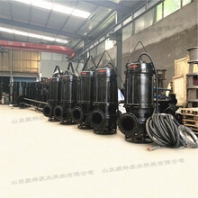 潛水泥漿泵電廠高溫灰渣泵化工廠用渣漿泵