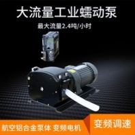 迪創(chuàng)蠕動(dòng)泵JT350-1J+KZ48工業(yè)型大流量變頻調(diào)速