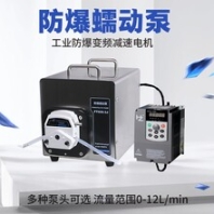 迪創(chuàng)科技FT600-3J工業(yè)型防爆蠕動(dòng)泵