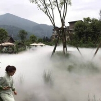 成都景美佳園林造景/噴霧造景/景觀造霧工程