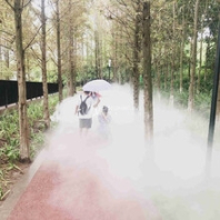重慶渝北區(qū)禮嘉智慧公園感應互動式人造霧系統(tǒng)