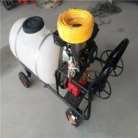 果園噴藥水設(shè)備 高壓自動打藥機 手推車式噴霧器 潤豐