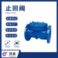 重慶環(huán)保止回閥規(guī)格
