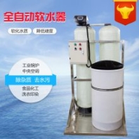 去除水垢全自動軟化水處理器 1噸每小時家用軟水機(jī)