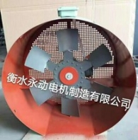 G變頻調(diào)速風(fēng)機(jī)G-250A變頻風(fēng)機(jī)電機(jī)用軸流冷卻風(fēng)機(jī)